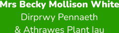 Mrs Becky Mollison White Dirprwy Pennaeth  & Athrawes Plant Iau