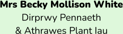 Mrs Becky Mollison White Dirprwy Pennaeth  & Athrawes Plant Iau